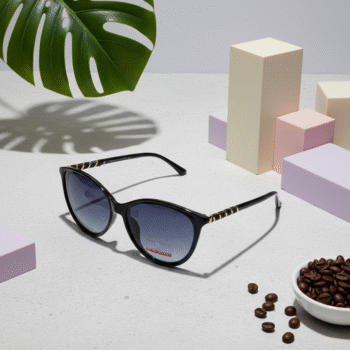 Home 13 Christian Lafayette Polarized